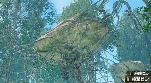 サンブレイクのイロヅキムシ：密林の「イロヅキムシ」配置場所