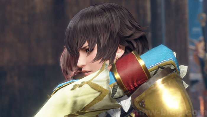 ライズとサンブレイクのテーマ：ライズの映像作品化に期待(希望)