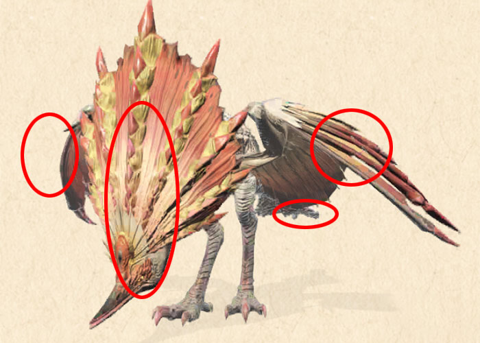 モンハンNOWアケノシルム装填防御：アケノシルムの部位破壊素材❶