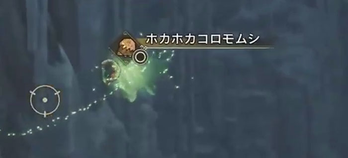 モンハンワイルズ「氷霧の断崖」：ホカホカコロモムシ2