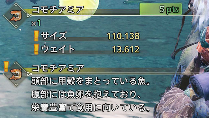 隔ての砂原環境生物「コモチアミア」：出現場所と時間帯➊