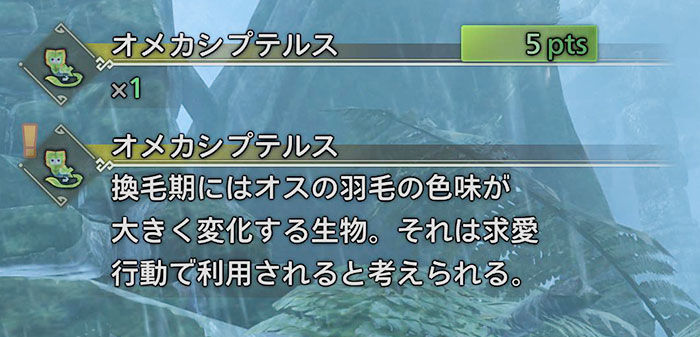 緋の森の環境生物「オメカシプテルス出現場所と時間帯➋